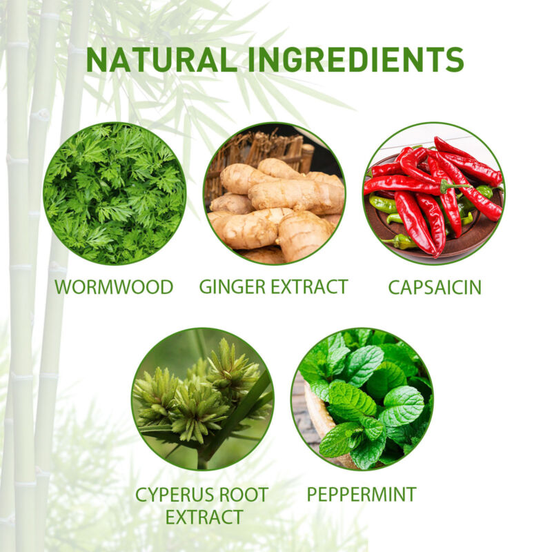Natural ingredients infographic showing wormwood, ginger, capsaicin, cyperus root, peppermint