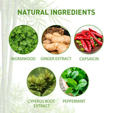 Load image into Gallery viewer, Natural ingredients infographic showing wormwood, ginger, capsaicin, cyperus root, peppermint