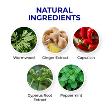 Load image into Gallery viewer, Natural Herbal Lumbar Spine Patch
