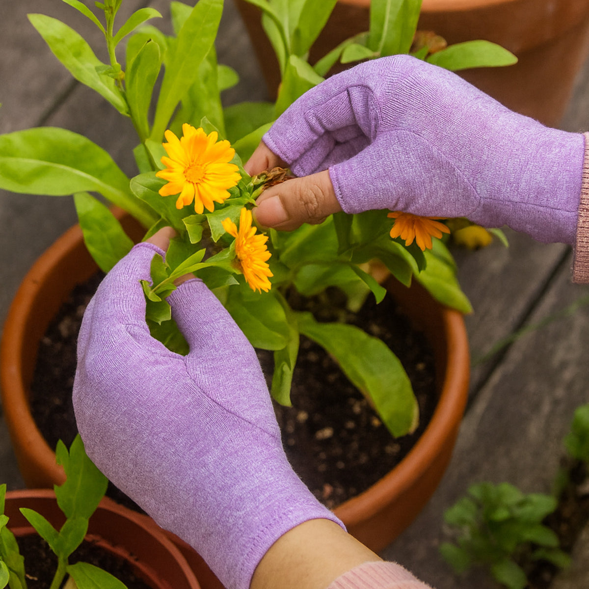 Purple Therapeutic Heat Gloves worn while tending potted orange flowers